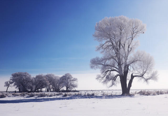 Cold Alamosa Day